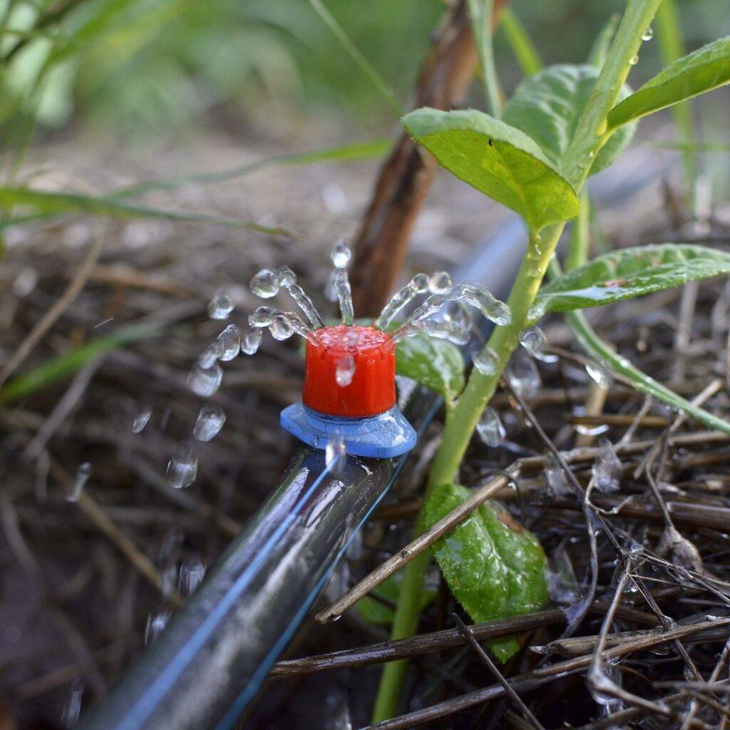 drip nozzle inserted directly to an irrigation hose