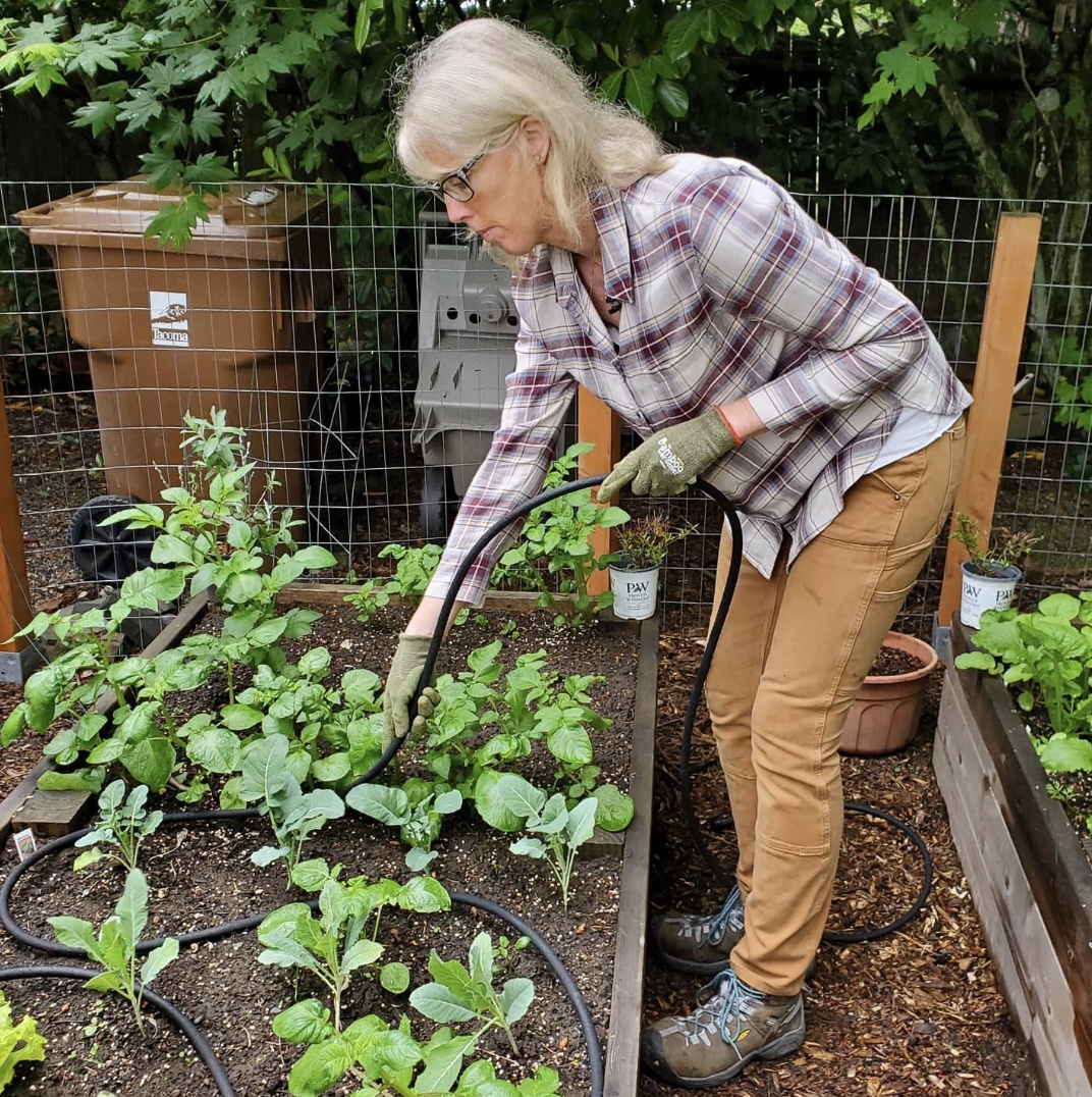 woman leaning over a raised bed putting in a soaker hose