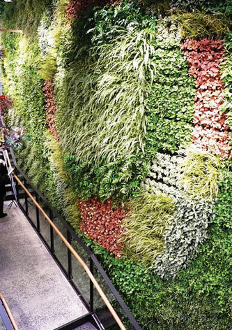 Benefits of a living wall