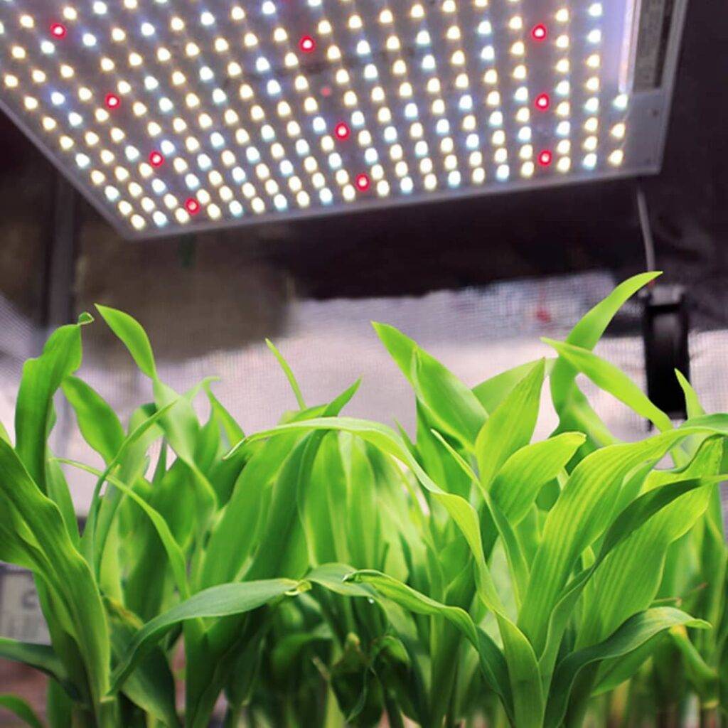gardening indoors using the vipar spectra grow lights